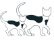 Pet Supplies